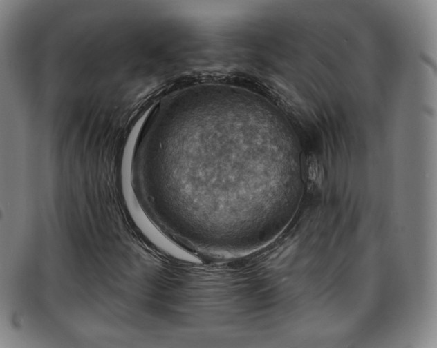 X0000097671252200803071547
