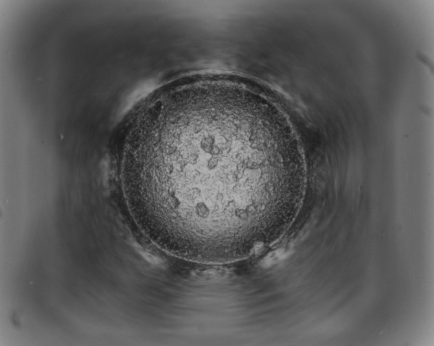 X0000097671255200803071547