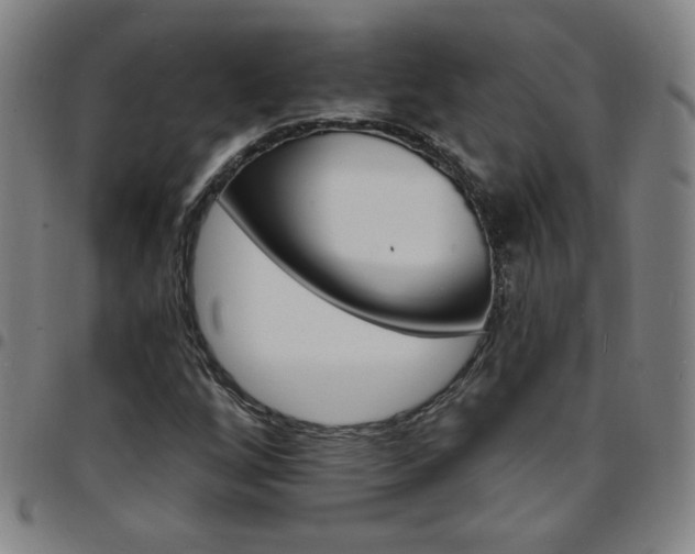 X0000097671256200803071547