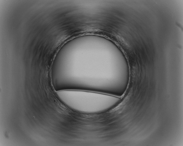 X0000097671257200803071547
