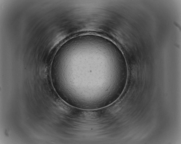X0000097671258200803071547