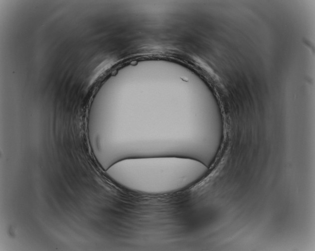 X0000097671259200803071547