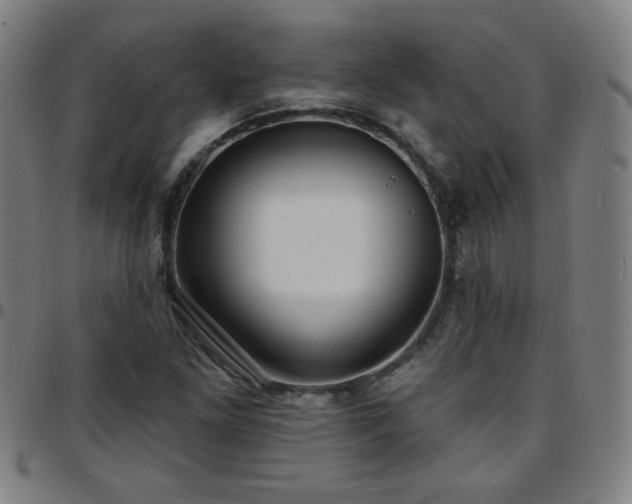 X0000097671261200803071547