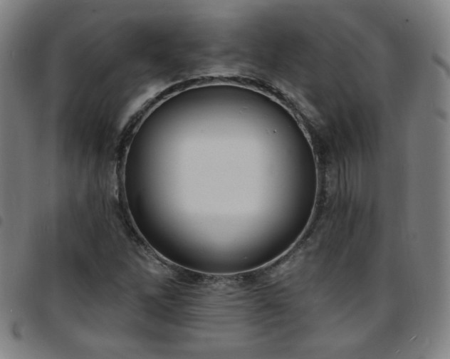 X0000097671262200803071547