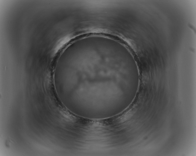 X0000097671263200803071547