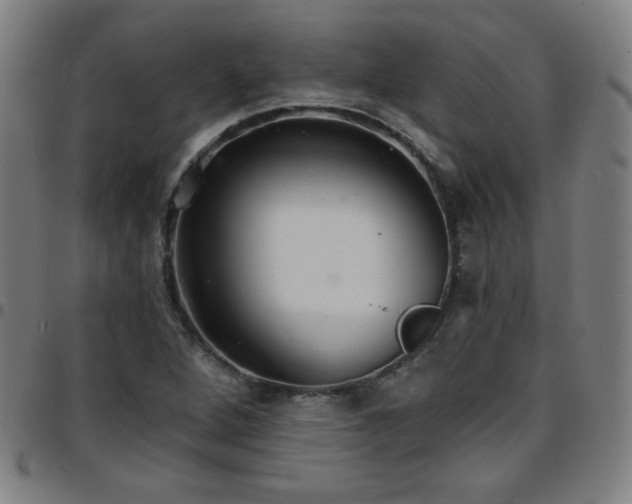 X0000097671264200803071547