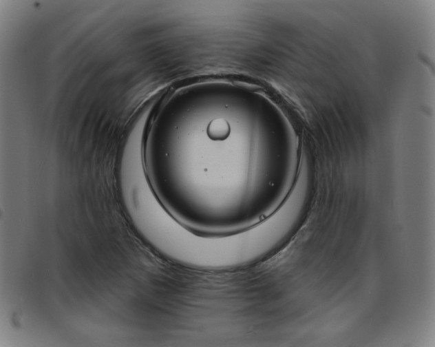 X0000097671265200803071547