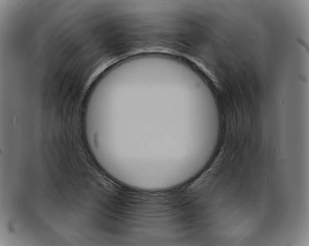 X0000097671266200803071547