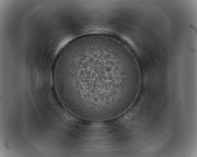 X0000097671267200803071547