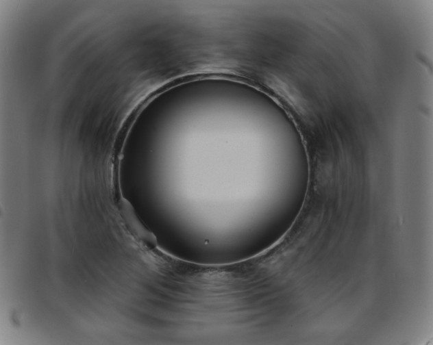 X0000097671268200803071547
