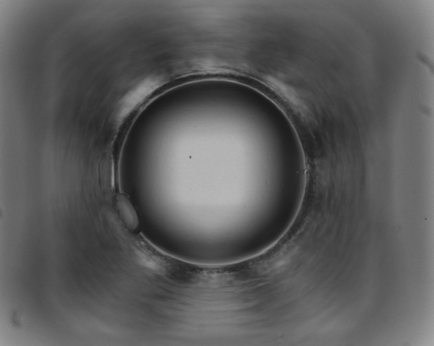 X0000097671269200803071547