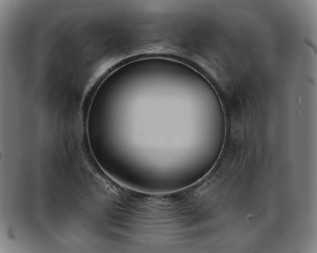 X0000097671270200803071547