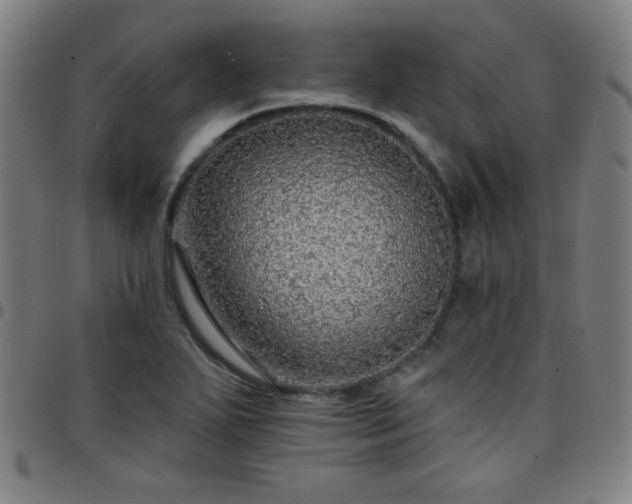X0000097671271200803071547