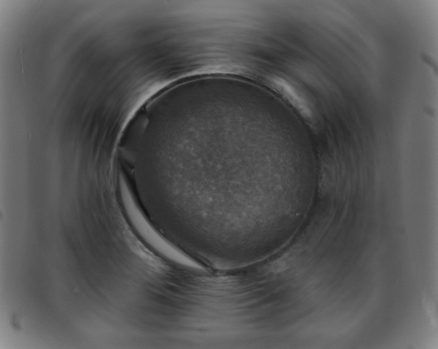 X0000097671276200803071547