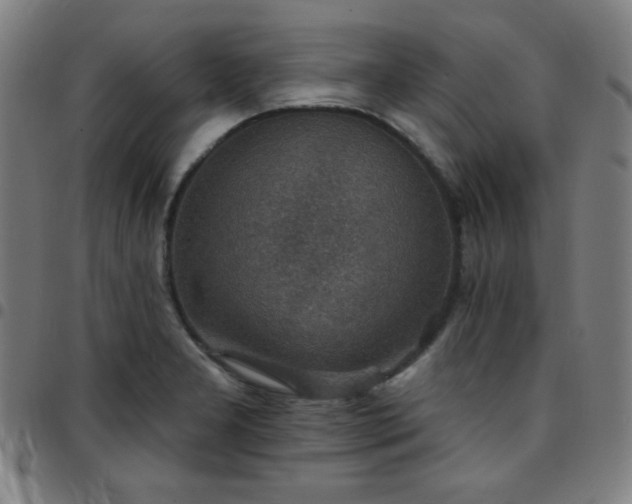 X0000097671277200803071547