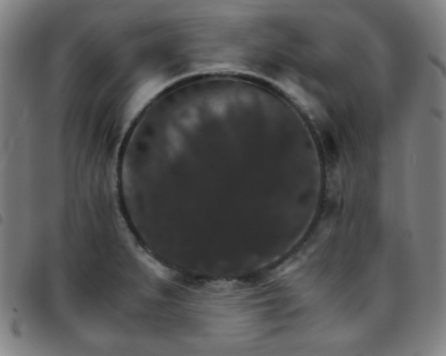 X0000097671279200803071547
