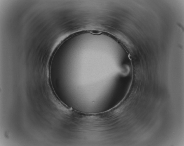 X0000097671280200803071547