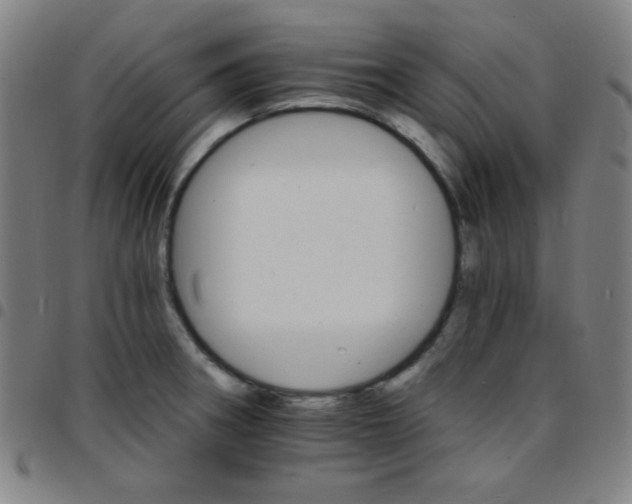 X0000097671282200803071547