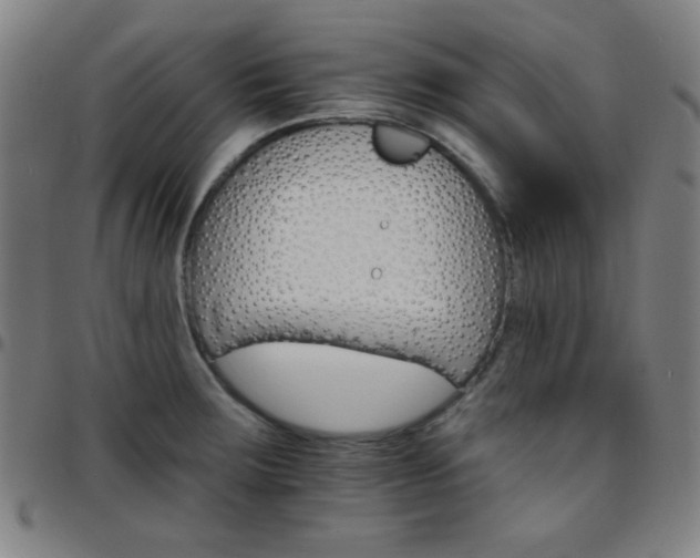 X0000097671283200803071547