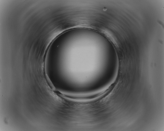 X0000097671284200803071547