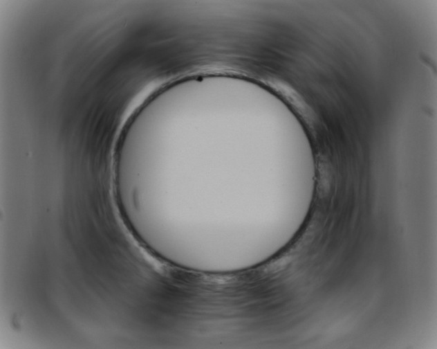 X0000097671286200803071547