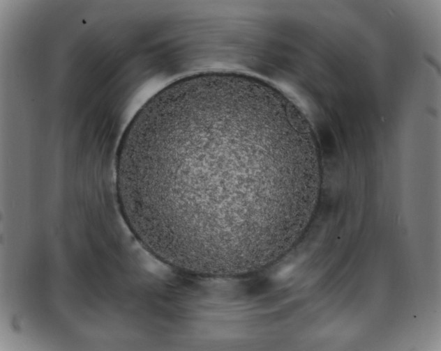 X0000097671287200803071547