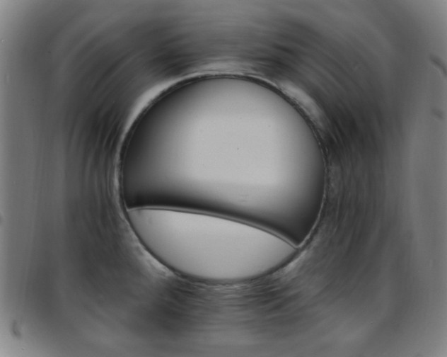 X0000097671288200803071547