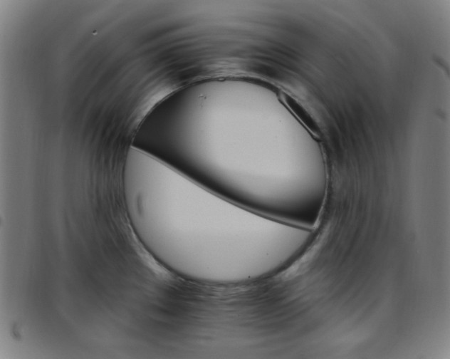 X0000097671289200803071547