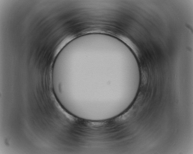 X0000097671290200803071547