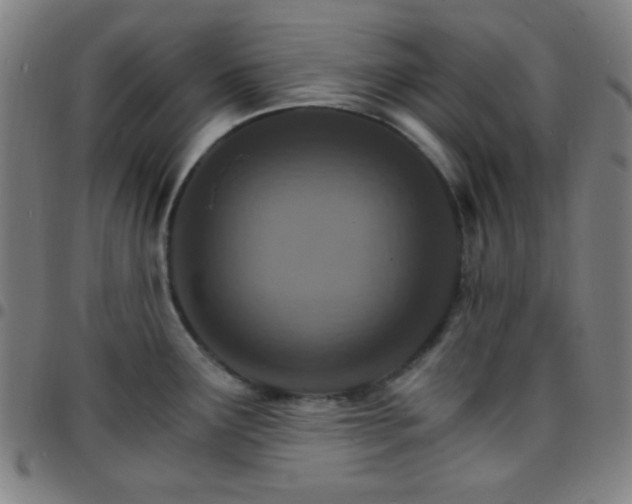 X0000097671291200803071547