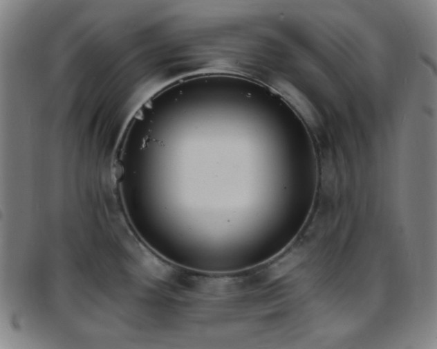 X0000097671292200803071547