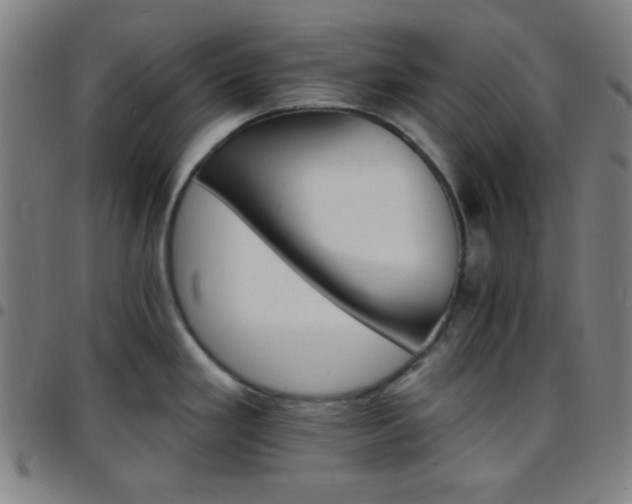 X0000097671293200803071547