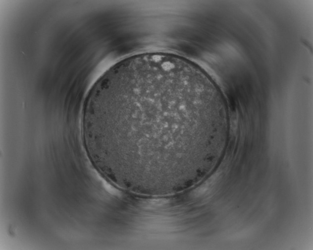X0000097671294200803071547