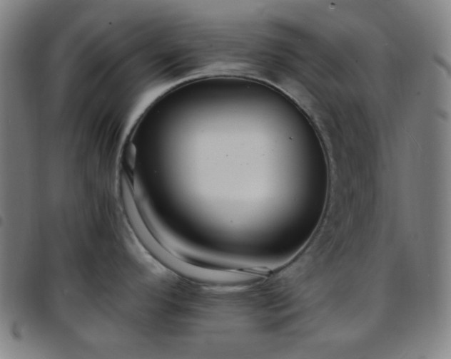 X0000097671296200803071546