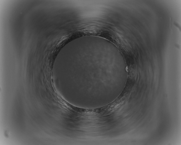 X0000097671297200803071546