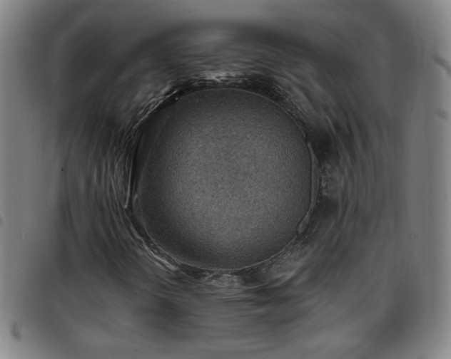 X0000097671298200803071546