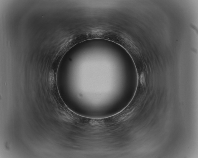 X0000097671299200803071546