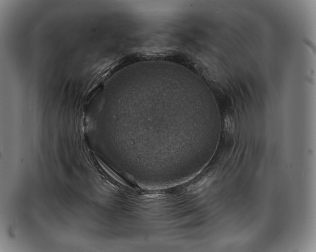 X0000097671300200803071546
