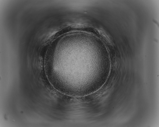 X0000097671301200803071546