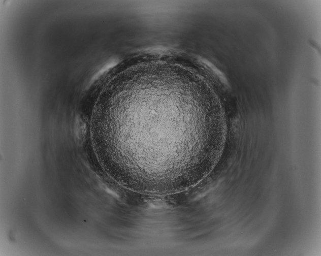 X0000097671302200803071546