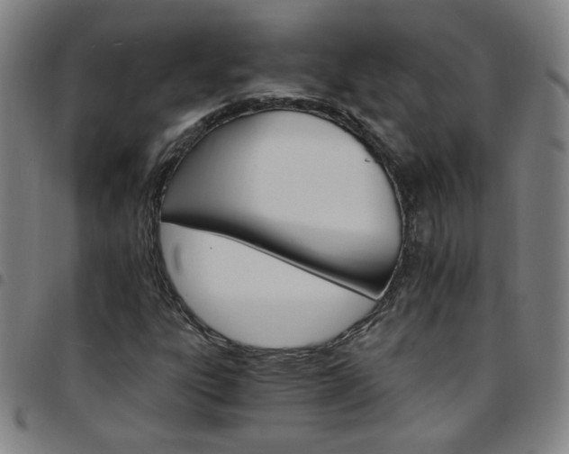 X0000097671303200803071546