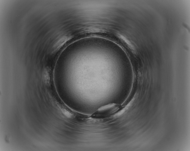 X0000097671305200803071546