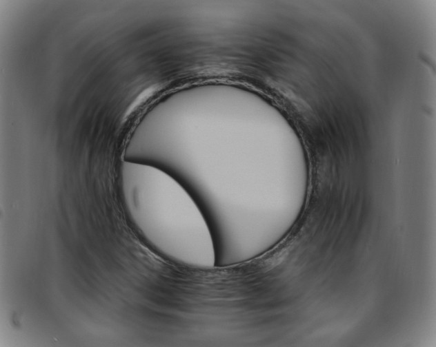 X0000097671306200803071546