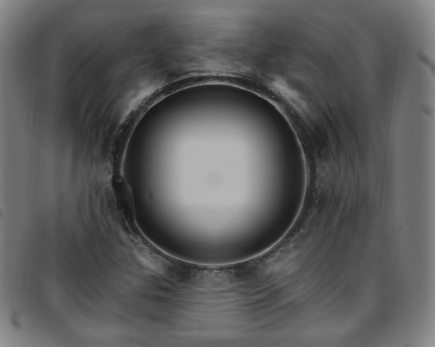 X0000097671307200803071546