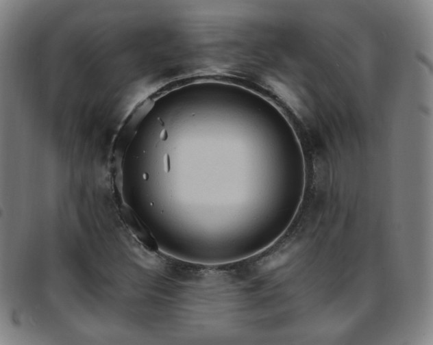 X0000097671308200803071546