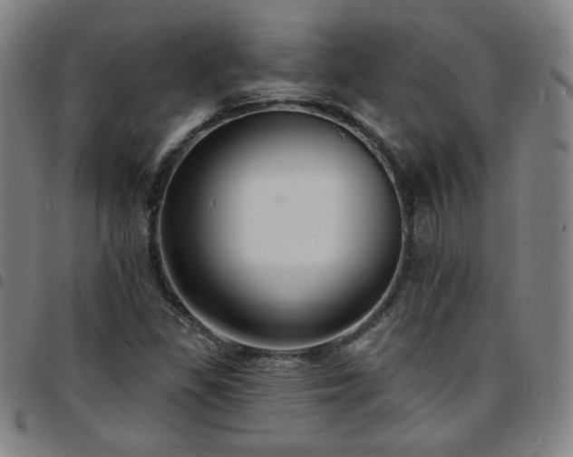X0000097671309200803071546