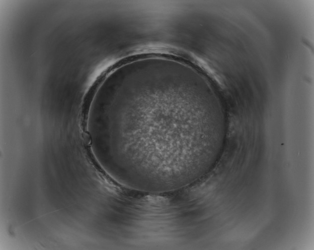 X0000097671312200803071546