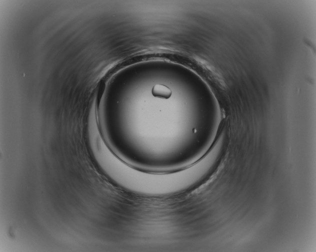 X0000097671313200803071546