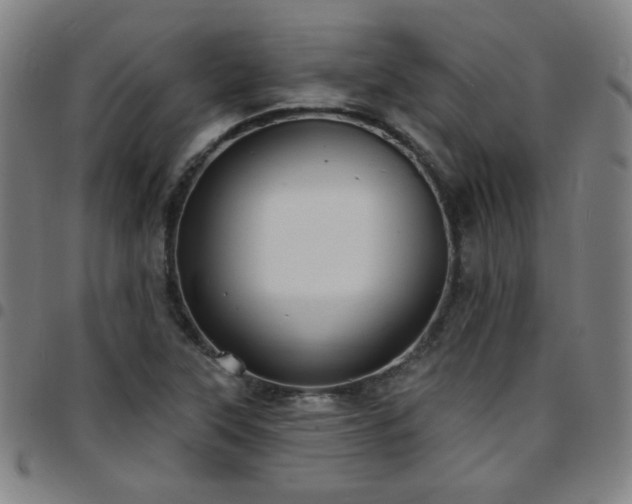 X0000097671315200803071546