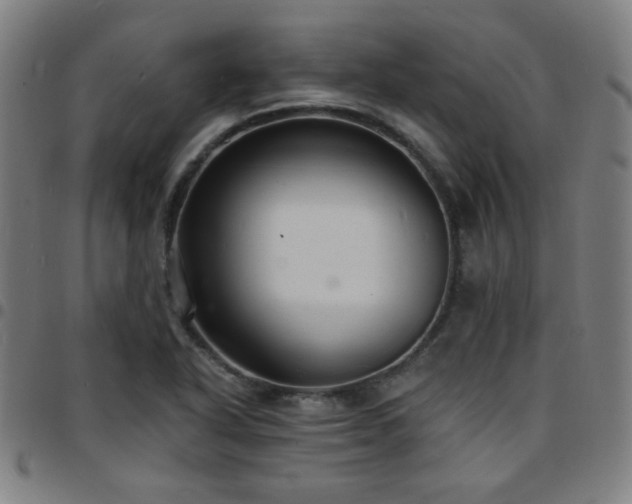 X0000097671318200803071546